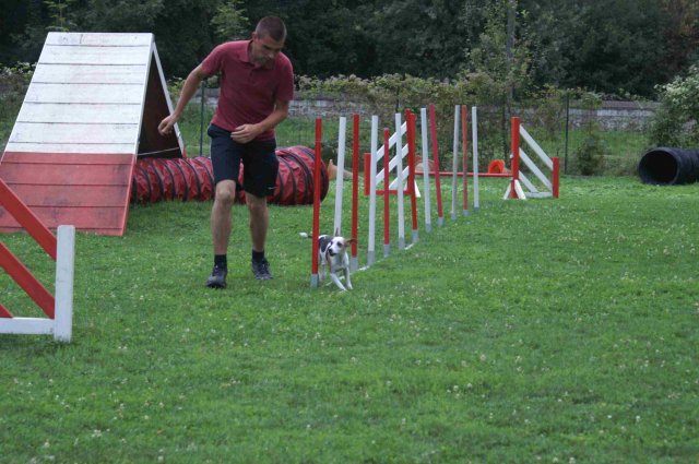 agility 2011-09
